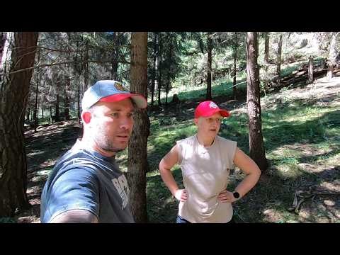 Graham Family Go Mushroom Foraging (Not Even Cancer Can Stop Her)