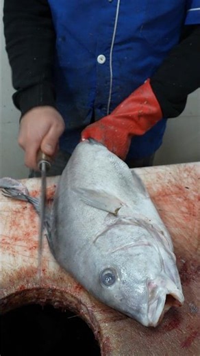 Why Is Everyone Watching This Fish Butcher?