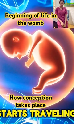 Beginning of life| how conception begins #fertilization #conception #shorts #pregnancyjourney #fyp