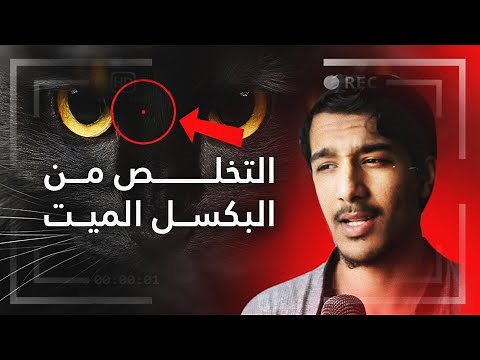 البكسل الميت Dead Pixel - تعريفه وأسبابه وهل يمكن التخلص منه؟؟