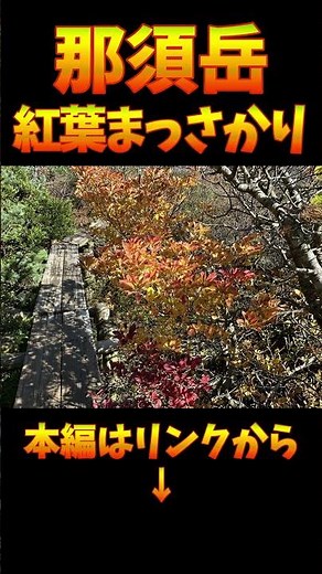 2025年10月 那須岳｜紅葉が見ごろで絶景でした。