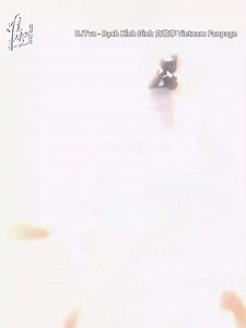 338K views · 6.5K reactions | |14.03.2025| |VIETSUB| DOUYIN ĐLP...