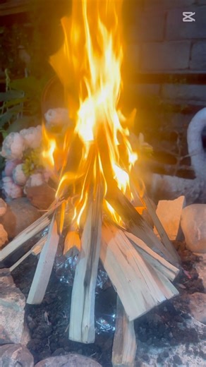 Real Meat Over Open Fire — Simple Recipe. #food #cooking #smokegrill #outdoorcooking