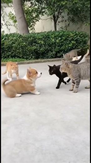 😄😄🤣😂😃😁