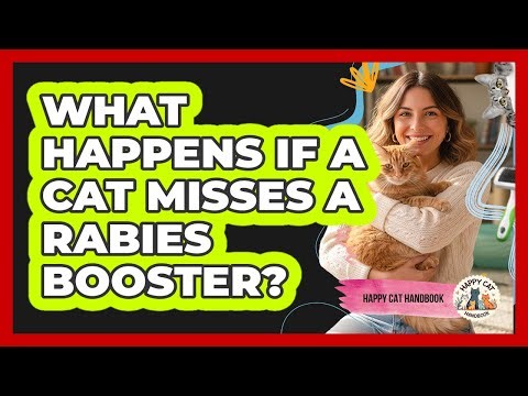 What Happens If A Cat Misses A Rabies Booster?
