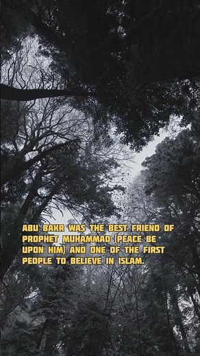 Who Was Abu Bakr Al-Siddiq? The First Caliph After the Prophet ﷺ