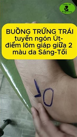 Cách Phòng Ngừa U Nang Buồng Trứng- U xơ Cổ Tử Cung- Tắc Kinh- Tiền Mãn Kinh |Lynn Vo Pregnancy