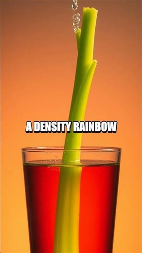 Hidden Forces at Home Five Quick Science Experiments