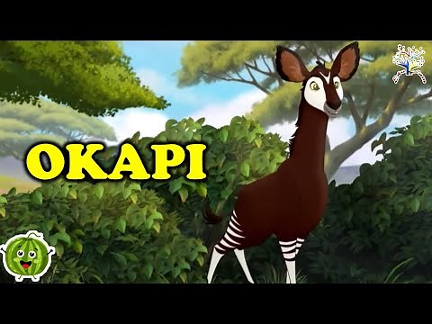 Animal Sounds Learning for Kids and Nursery Rhymes || Le't learn about okapi! || Edufam ~