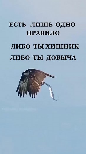 Ольга Мирзоева66 on TikTok