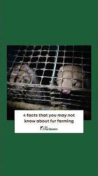 4 Facts That You May Not Know About Fur Farming