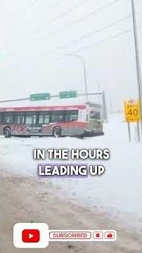 ❄️🚗💥Snowstorm in Canada! Absolute Chaos in Calgary, calgary's first major snowfall of 2025