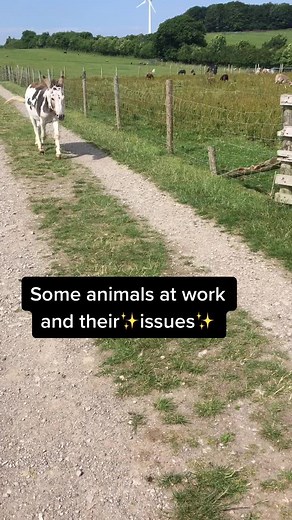 #greenlandsfarmvillage #pettingzoo #farmlife