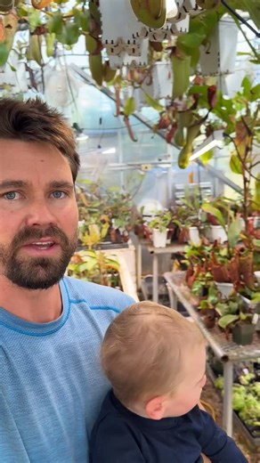 Jeremiah's Carnivorous Plants | IT’S THAT TIME OF YEAR! The Annual Greenhouse Walk-Through YouTube video is dropping soon! Get ready for a tour bursting with lush plants,... | Instagram