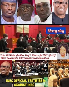 #BreakingNews : Peter Obi Calls Another Prof, 3 Others As INEC Give LP More Documents, Interesting Cross Examination | Mercy Vlog