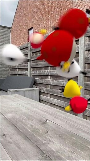 Angry Birds in Real Life Animation