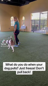 225K views · 808 reactions | Lucky Dog Training Club on Reels | Facebook