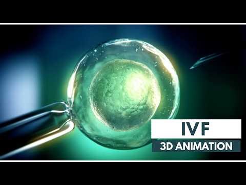 How IVF Works Step by Step | 3D Animation Explained