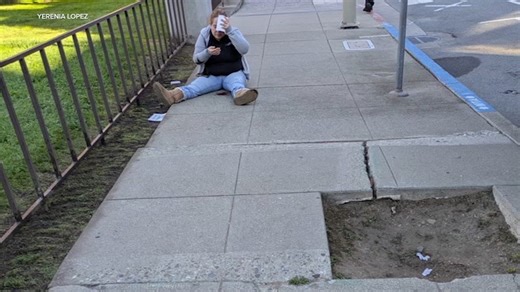 San Francisco's empty tree wells can be hazardous. Here's how supervisor is trying to fix it