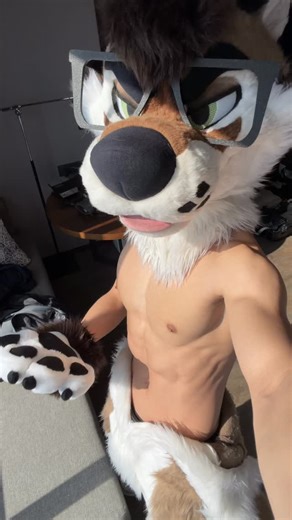 Palace Wolf on Instagram