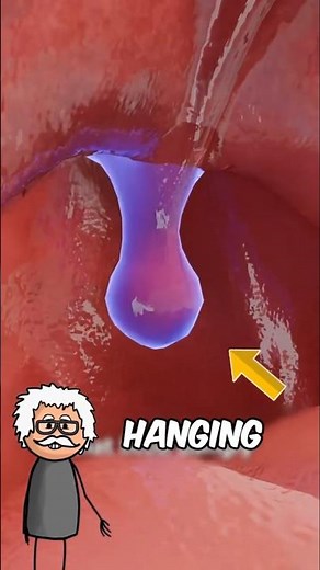 What is the Purpose of Your Uvula 😨