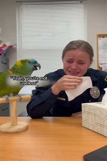 3.6K views · 44 reactions | This Parrot Doesn’t Do Empathy | Mr.Scarlet Macaw | Facebook