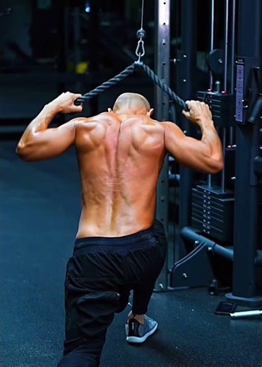 Hybrid Back Workout!