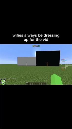 my poor guy getting jumped for it #wifies #mcyt #fyp #odysseyduo #minecraft wifies stream parrotx2 boosfer schpood decayed and decrepit minecraft skin