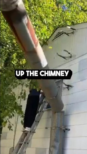 How to Remove a Chimney - DIY