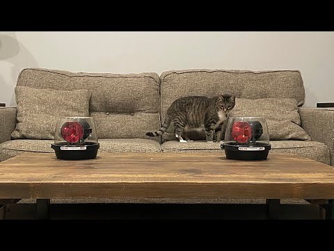 Whelen RB6T Beacons with Clear Domes and Red Filter (dual reflector rota-beam 6 rb6 red white)