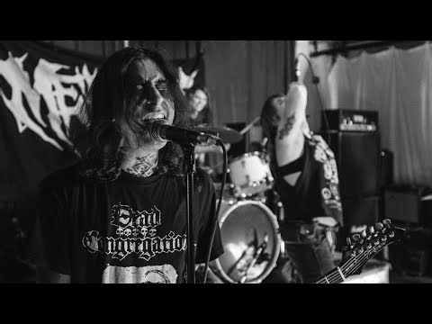 Mem//Brane (Full set) 01/09/2025