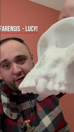 Who was Lucy, the Australopithecus afarensis?