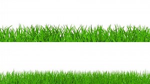 Growing Green Grass On White Background Stock Footage Video (100% Royalty-free) 1356097 | Shutterstock