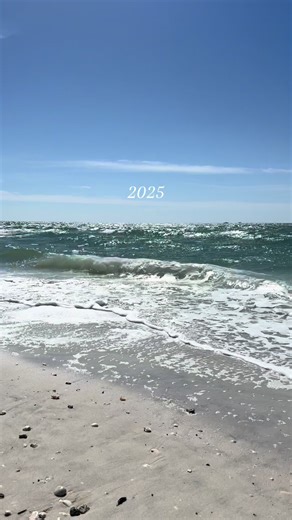 A challenging but rewarding year🧚‍♂️🫀🩺🛥️🐠 #2025recap#paschool#PAS2#springbreak#visionboard