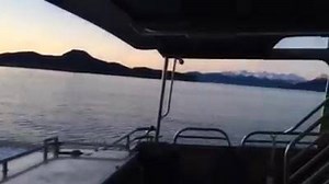 Boat's ready! Juneau's waiting... | Juneau Tours and Whale Watch