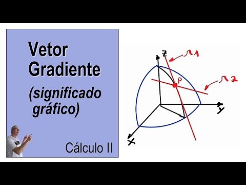 GRINGS - VETOR GRADIENTE (significado gráfico) - Cálculo II