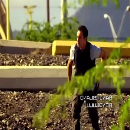 Un grupo de piratas retiene a los Spring Breakers para pedir un rescate (1) | Enplus Project Management