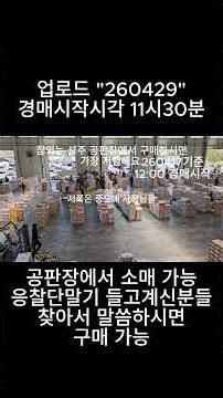 성주 참외 경매 현장 1편