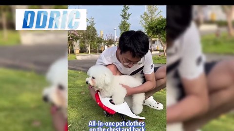 TECTI Kinetic Building System - Cubes with Seismic Moves - Consists of 3-Dimensional Interconnected Cubes - Build Over 50 Dynamic Structures - by Fun in Motion Toys