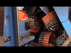 Cambio 800 Debarker with CIM 750 Infeed