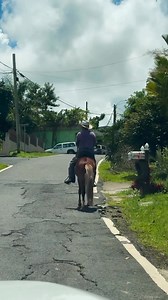 Las calles de Utuado, Puerto Rico. #fblifestyle | Turisteando en Puerto Rico