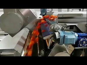 Raynbow optical sorters for tomatoes | RAYTEC VISION SpA