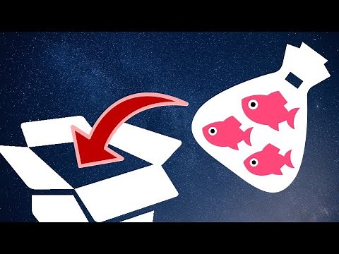 How to Ship Live Fish & Shrimp like a Professional (ft. BB’s Beasties)