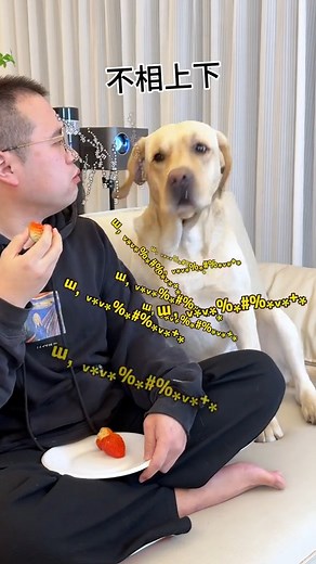 This dog’s temper is pretty big... 🐾 | Hot-tempered dog