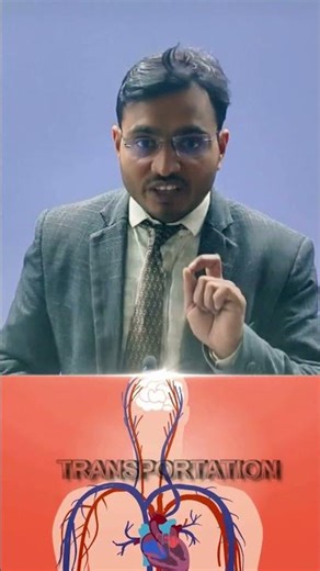 Human Transport System Explained Simply #Heart #BiologyBasics #Shorts