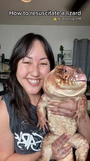 Resuscitating a Lizard: Essential Tips for Reptile Owners