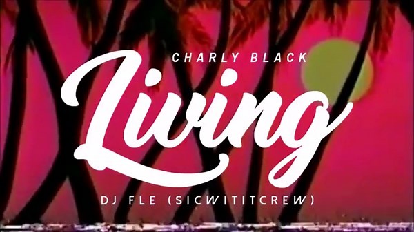 Charly Black - Living (DJ FLE REMIX) S.W.C