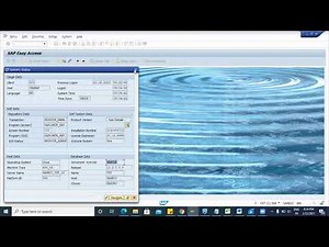SAP ABAP Class 1 (Part 1): Real Time Scenario | Learn SAP from basics | ABAP (Hindi)