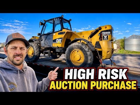 My Strangest Auction Purchase Yet! Will it pay off, or did I get screwed...