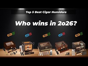 ✅ Top 5 Best Cigar Humidors [Watch This Before You Make a Choice!]
